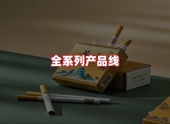 专业团队